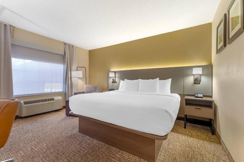 Comfort Suites Pittsburgh Airport - image 50