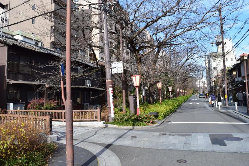 Kyotoya Sakuraan - image 4