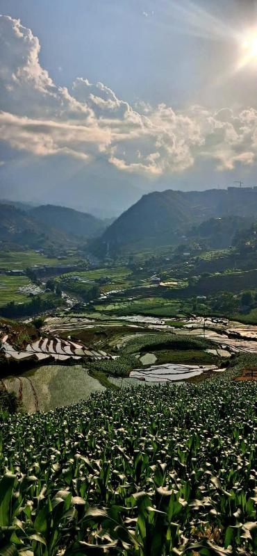Luna Valley Homestay - image 20