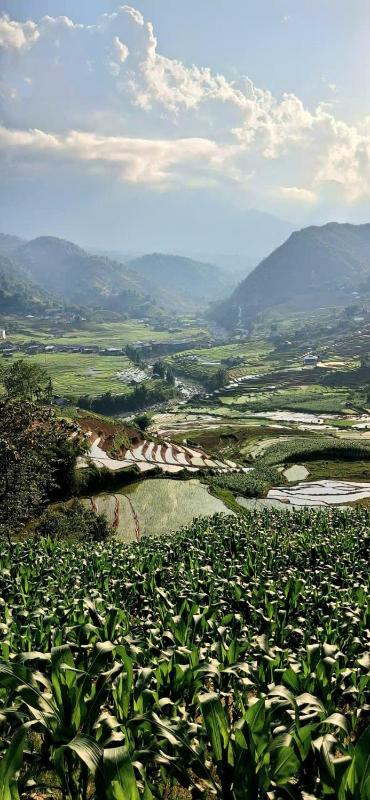 Luna Valley Homestay - image 17