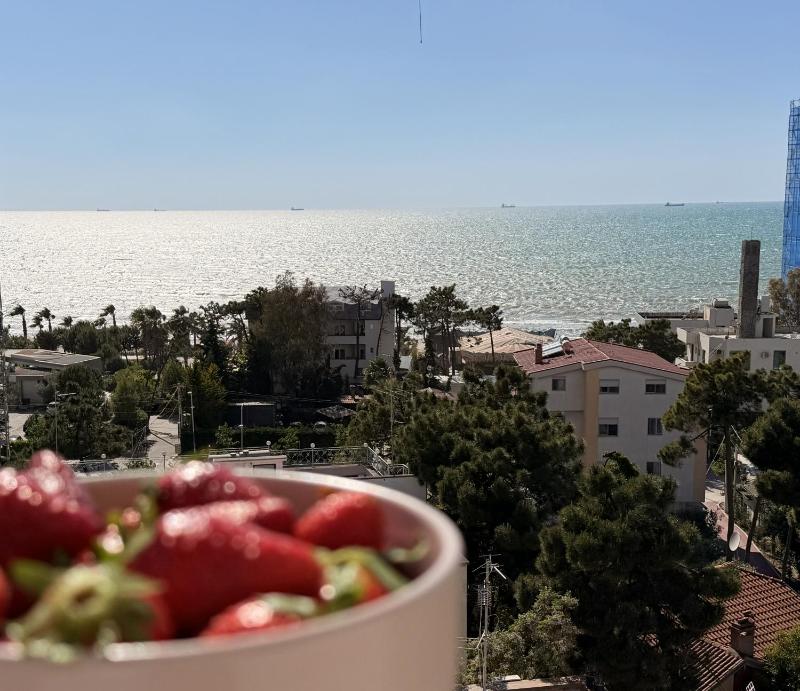 Valë - image 8