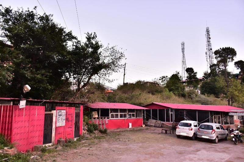 The Jungle Track Kasauli - image 6