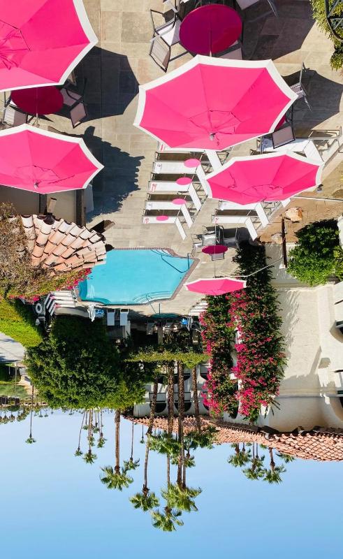 Best Western Plus Las Brisas Hotel - image 31
