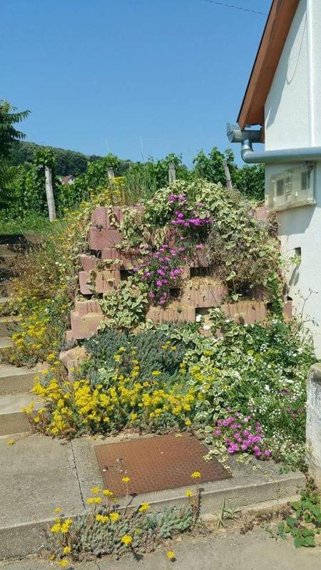 Double Room with Garden View image 1
