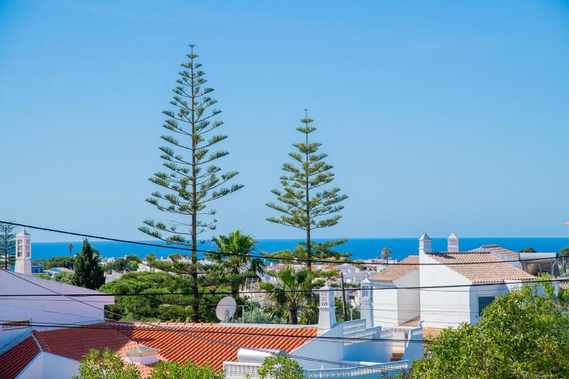 Villa Montenegro - Superbly Located Family Vila - image 50