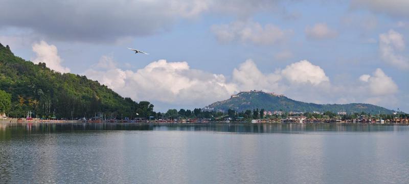 New Pine Guest House - image 15