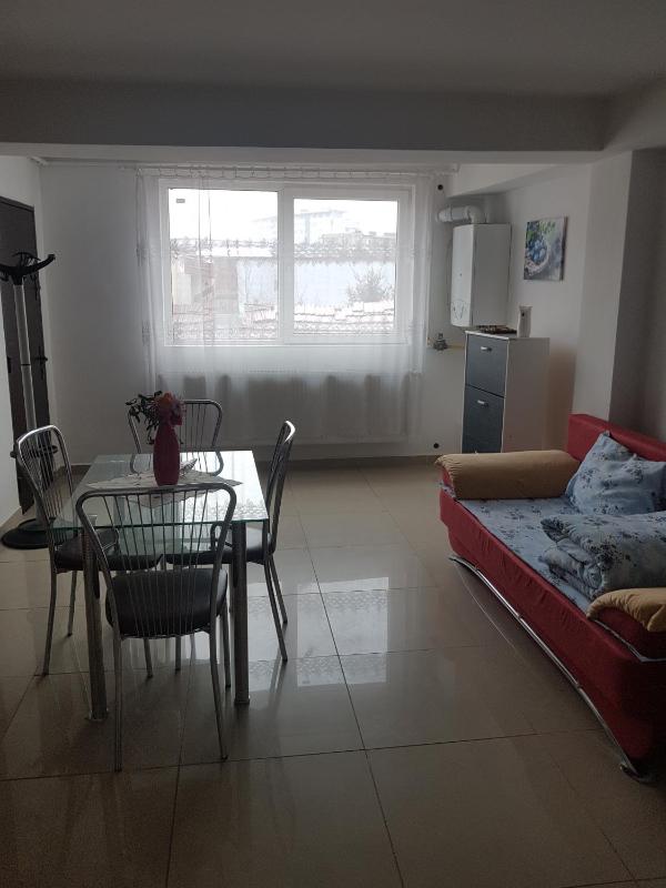 One-Bedroom Apartment image 3