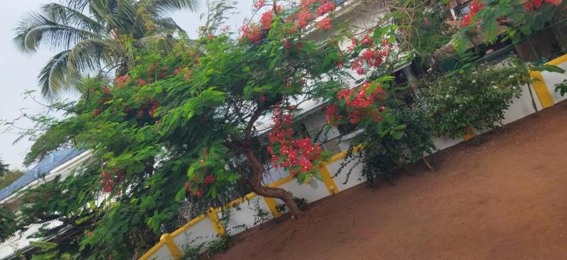 Casa Arvana Near Calangute Beach - image 49