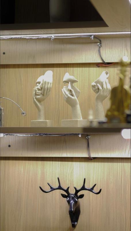 شقه انيقه بدخؤل ذاتي - image 13