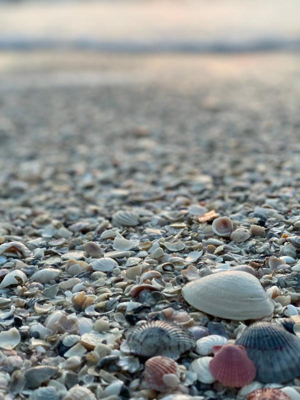 A Tropical Breeze Beach Club - Anna Maria Island - image 7
