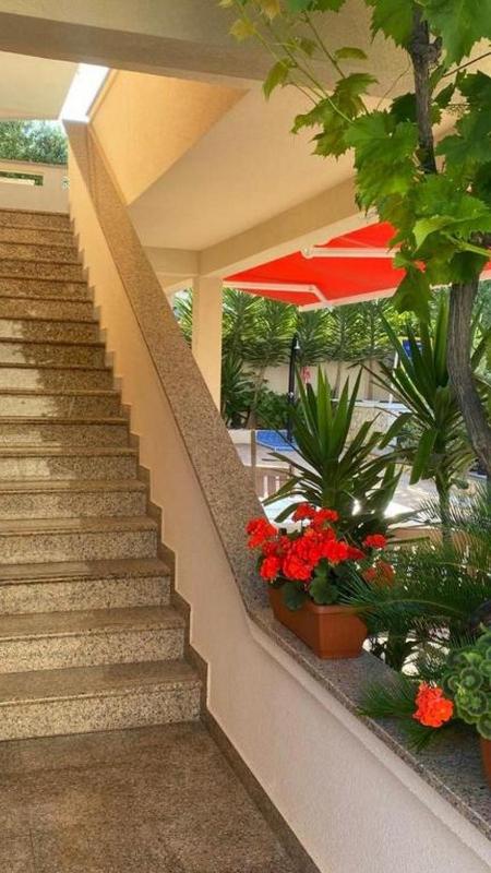 Apartments with swimming pool Novalja Pag - 211 - image 37