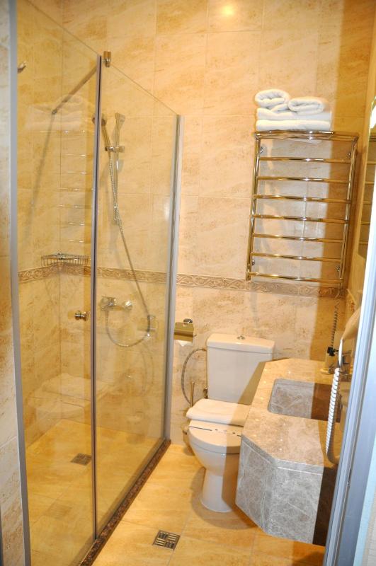 Classic Triple Room with Spa Access image 3
