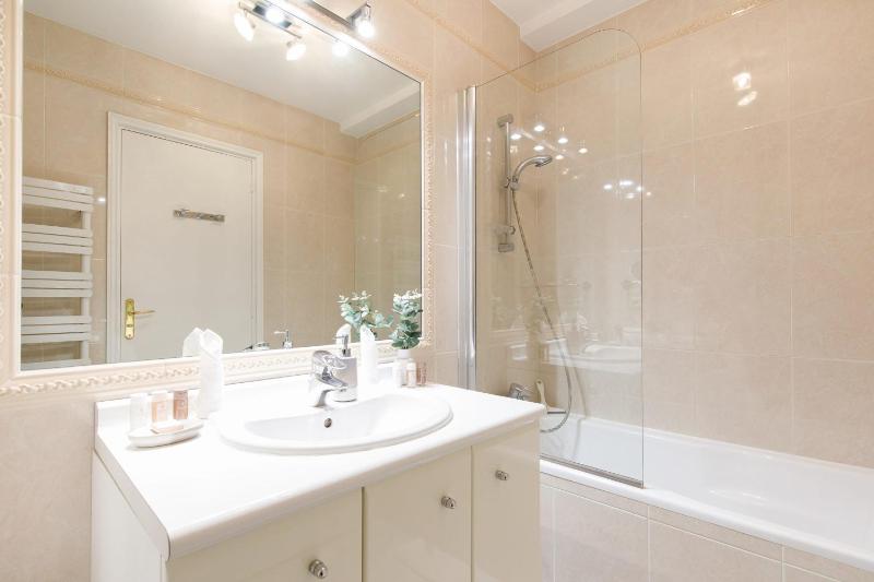 On la Croisette fabulous sea view 1 bed - image 9