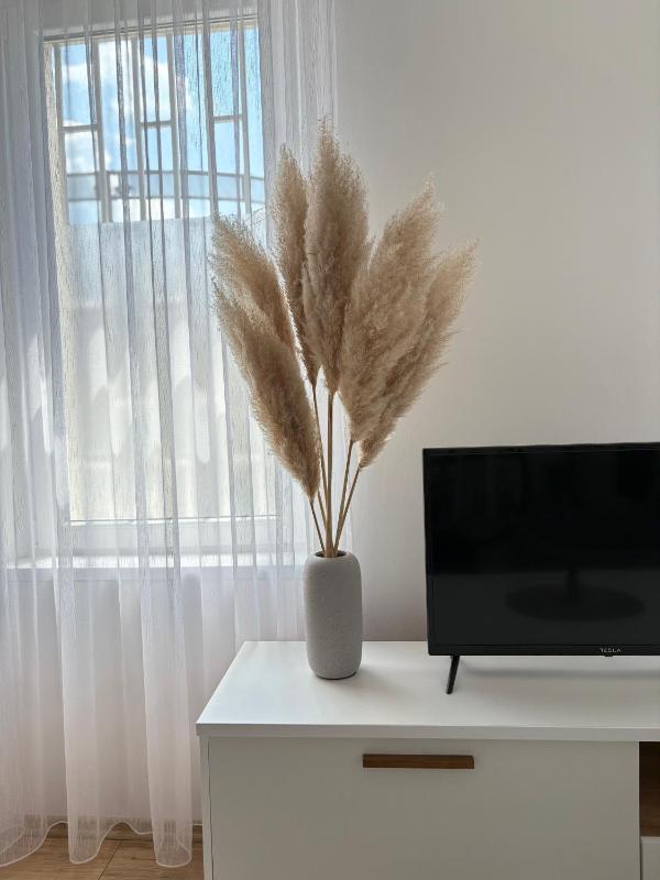 Apartment Bobo - image 3