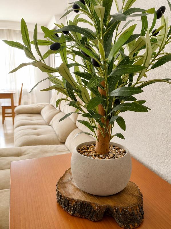 Teatinos Malaga Apartment - image 16
