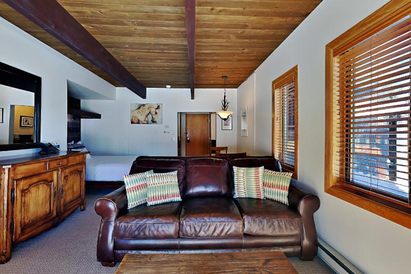 Timberline Condominiums Studio Deluxe Unit 118 - image 21