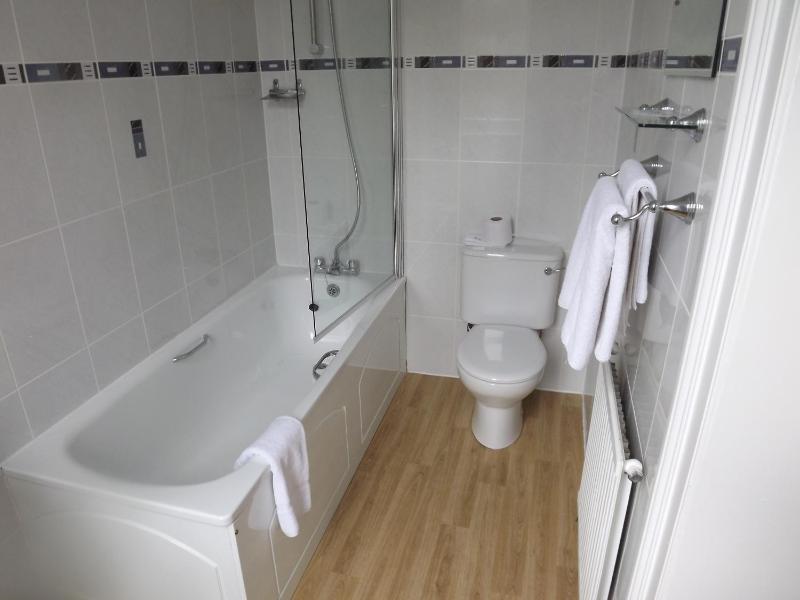 Family Room (2 Adults + 1 Child) image 4