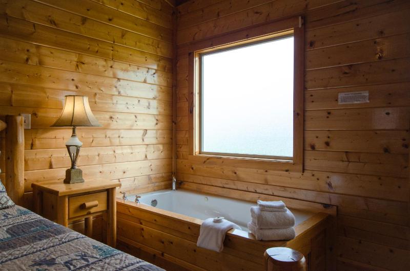 A View To Remember Indoor Pool Hot Tub Game Room Theater Room View Attraction Tickets - image 43