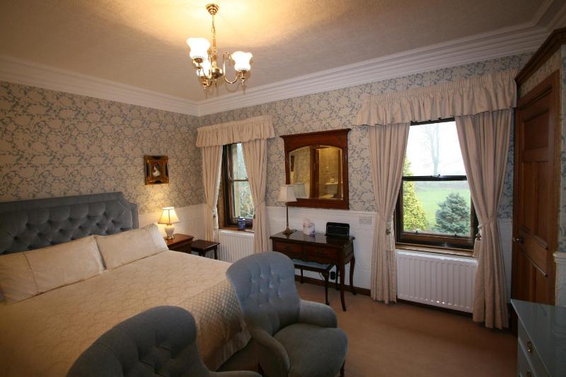 Deluxe King Room image 3