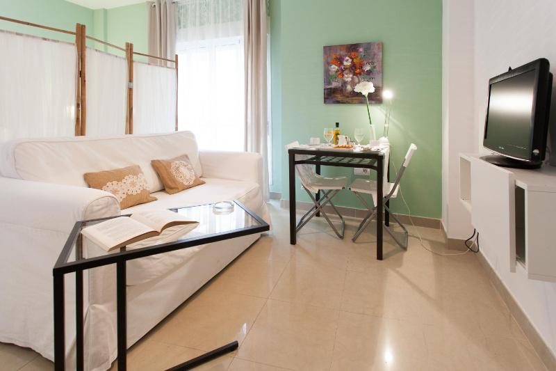 Studio without terrace image 4