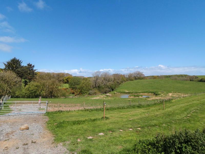 Wren - image 39