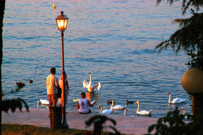 Camping Bella Italia - image 24