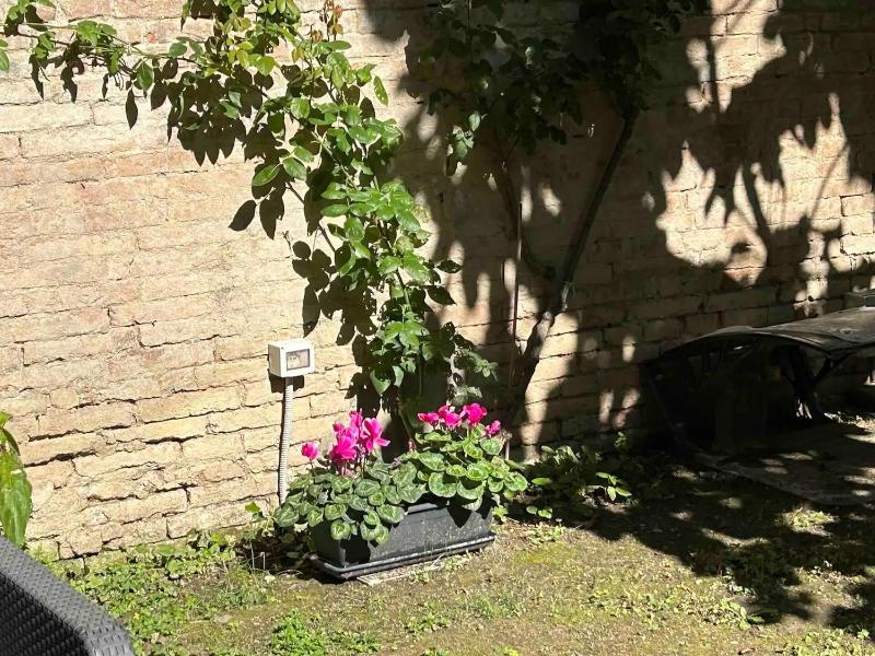 Oasis in the Center with Garden by Synergy Up to 5 guests - image 11