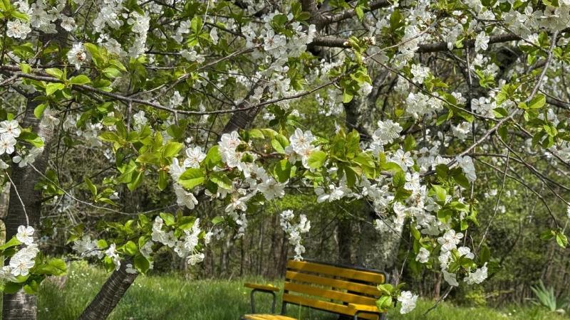 Legato apartman Opatija-Veprinac by Villas Guide - image 16