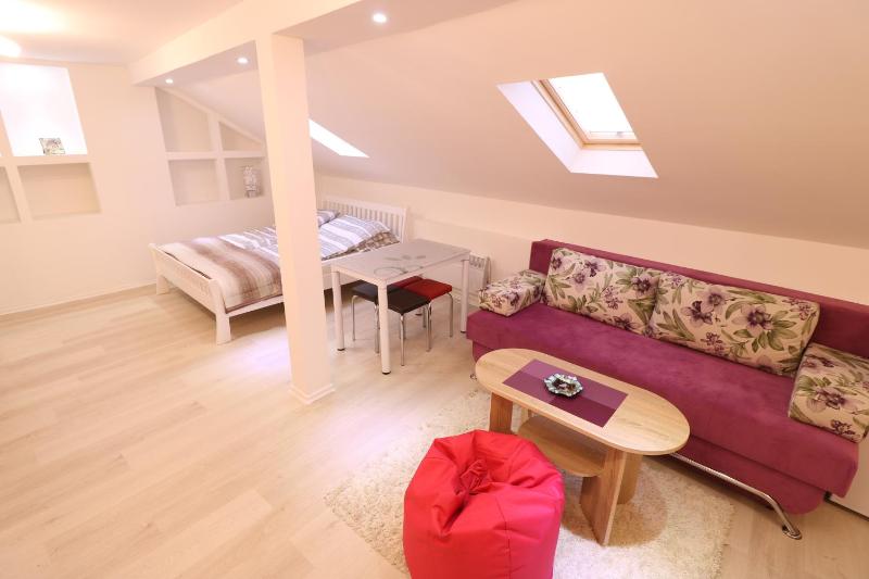 Studio Apartment image 3