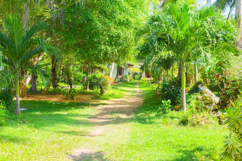 Shammie Guest House - image 10