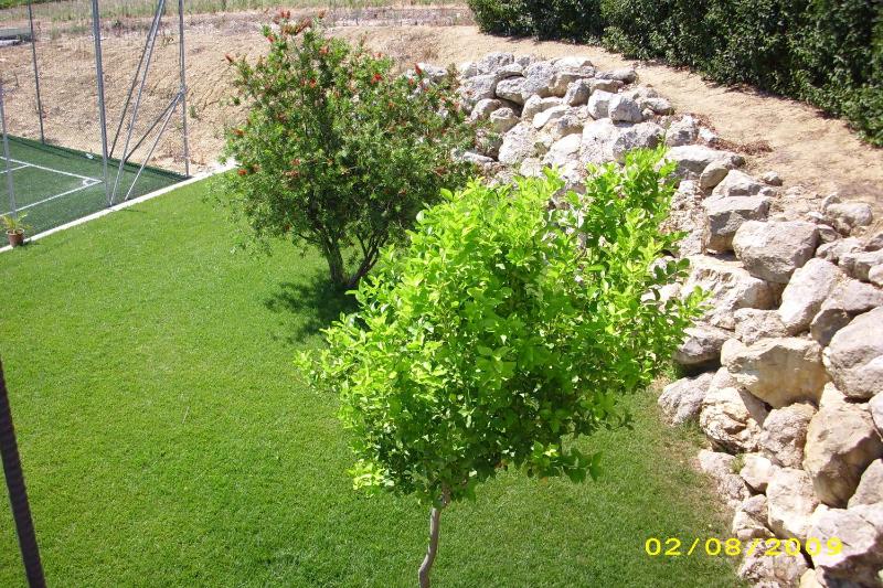 Double or Twin Room image 2