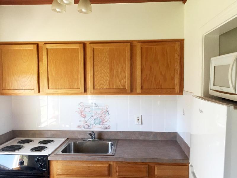 One-Bedroom Apartment image 2