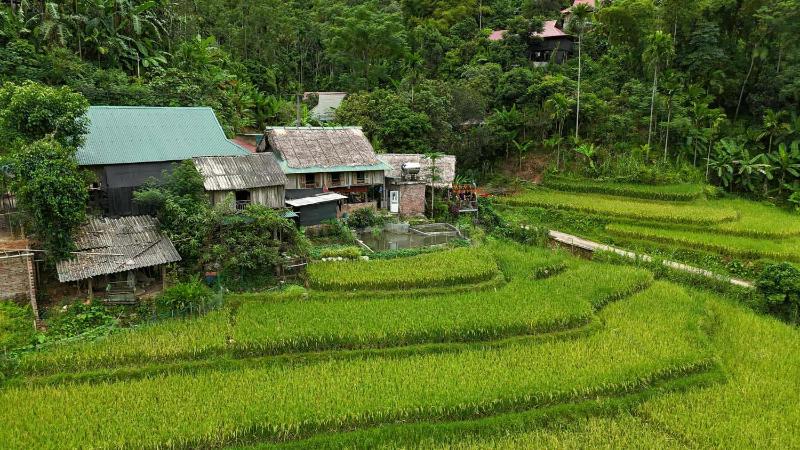 chuyên các món ăn dân tộc địa phương - image 5