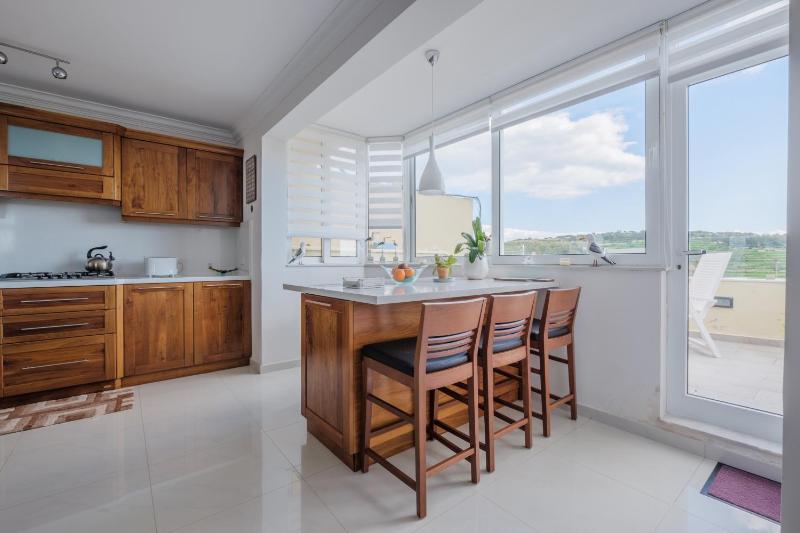 Four-Bedroom Penthouse Apartment image 4