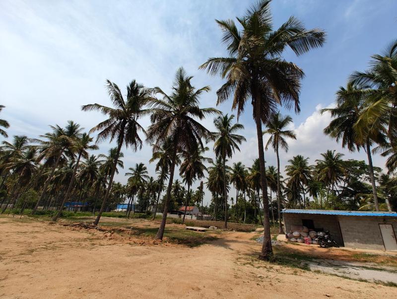 Hamsa Farmstay - 3BHK AC homestay - image 13