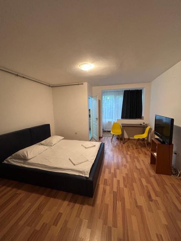 Take Ionescu 1 Room Apartament - image 1