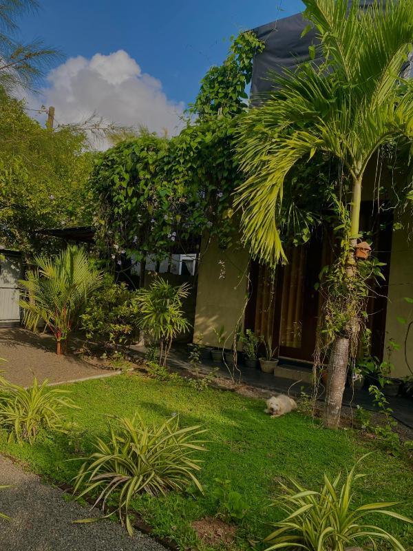 Mads Bird Villa Hikkaduwa - image 13