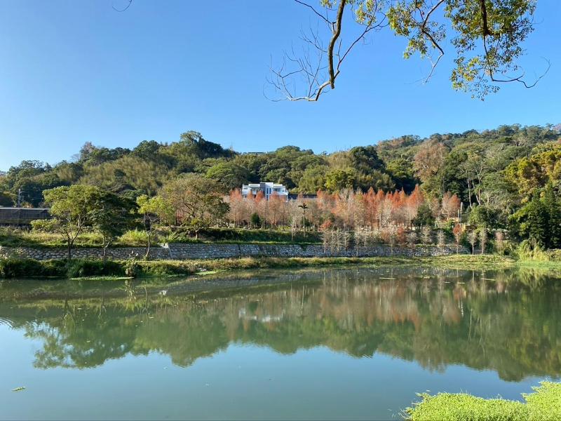 松之戀湖畔森林旅宿 The Pines - image 35