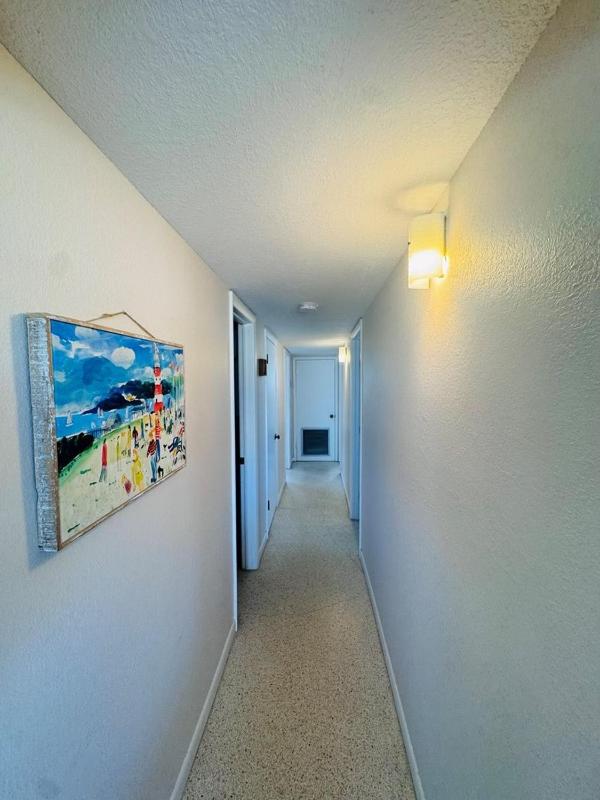 763 North Shore Downstairs Apts - image 9