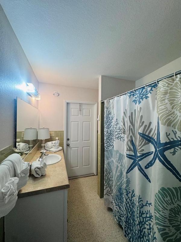 763 North Shore Downstairs Apts - image 12