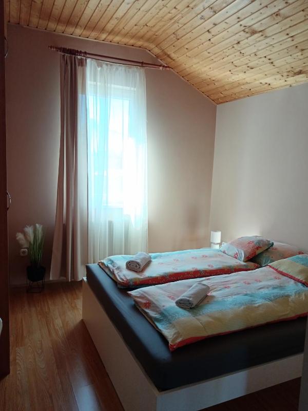 My Home Tulipán - image 32