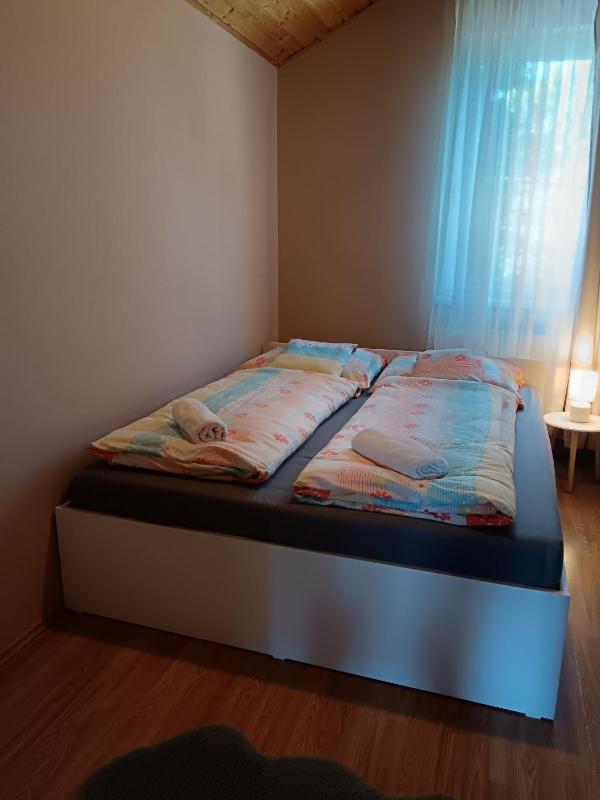 My Home Tulipán - image 13