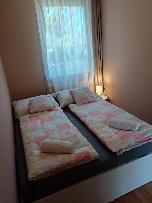 My Home Tulipán - image 16