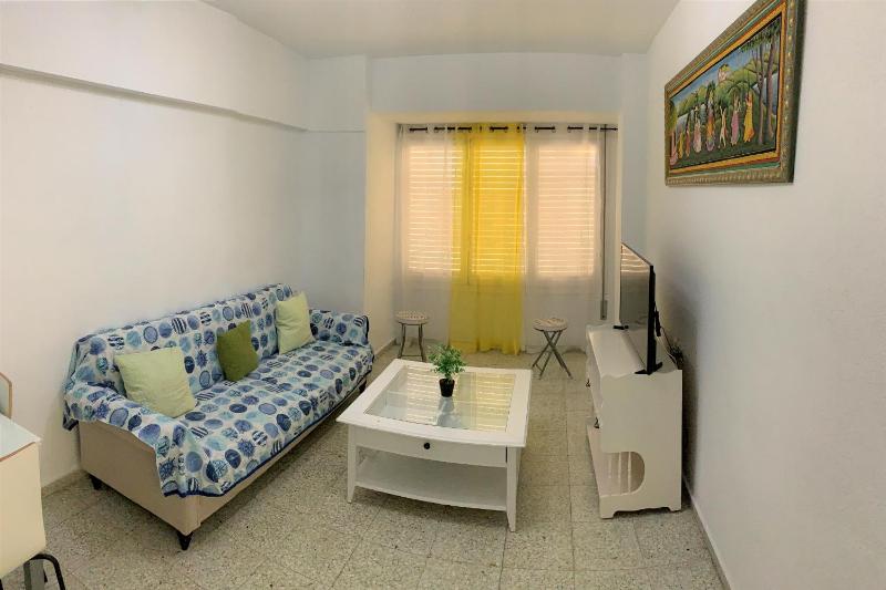 Delightful 3 bedroom Apartment with Terrace ESP1EV - image 8