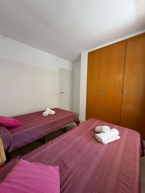 Sant Jordi Zeus Basic - image 18