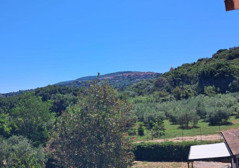 Appartamenti Cala Verde - image 28