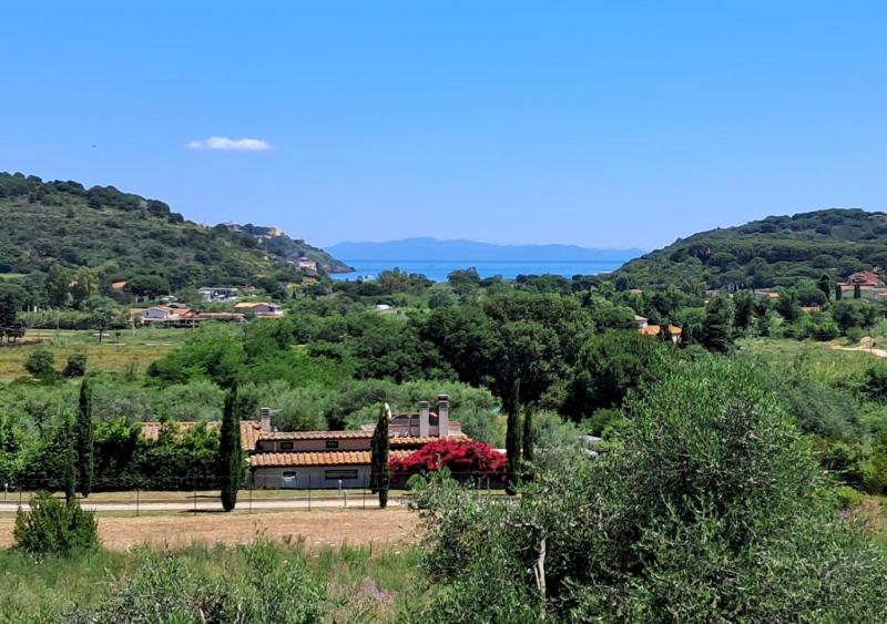Appartamenti Cala Verde - image 38