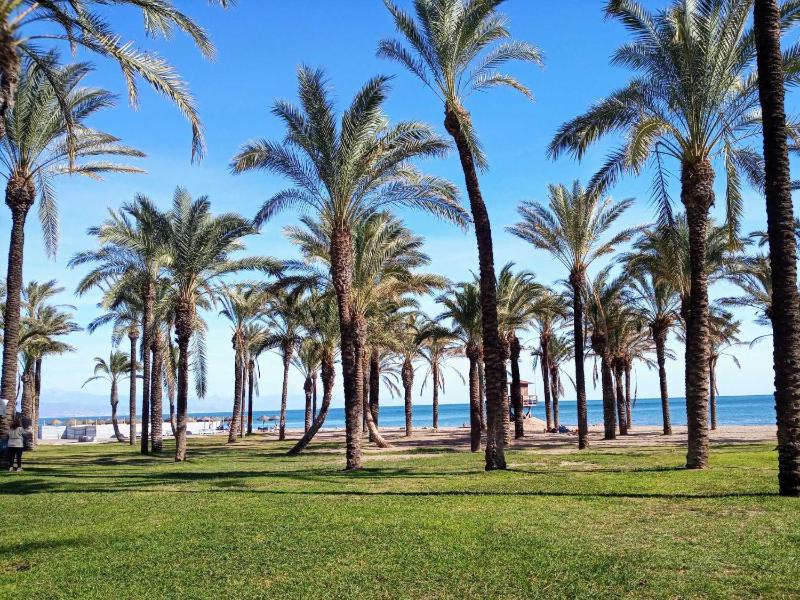Colina Beach con vistas al mar - image 48