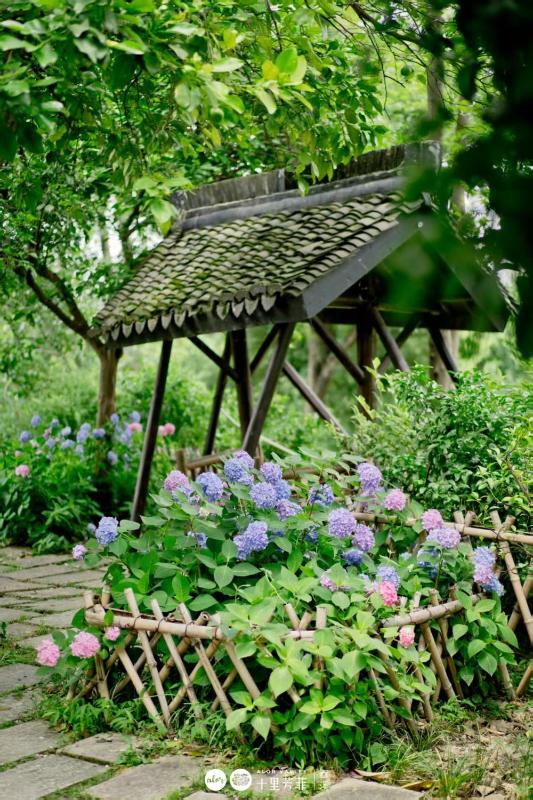 杭州西溪十里芳菲酒店Alor Valley Hangzhou - image 8