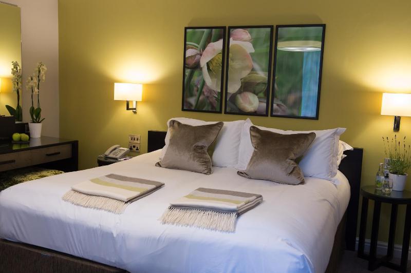 Standard Double Room image 3